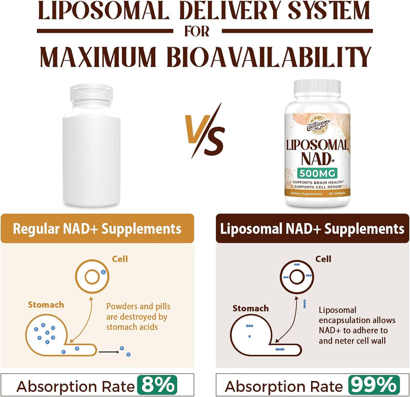 liposomal-nad-500-mg-supplement-true-nad-plus-supplement-superior-absorption-boost-nad-more-efficient-than-nicotinamide-riboside-for-cellular-energy-healthy-aging-180-serving-2