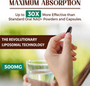liposomal-nad-500-mg-supplement-true-nad-plus-supplement-superior-absorption-boost-nad-more-efficient-than-nicotinamide-riboside-for-cellular-energy-healthy-aging-180-serving-3