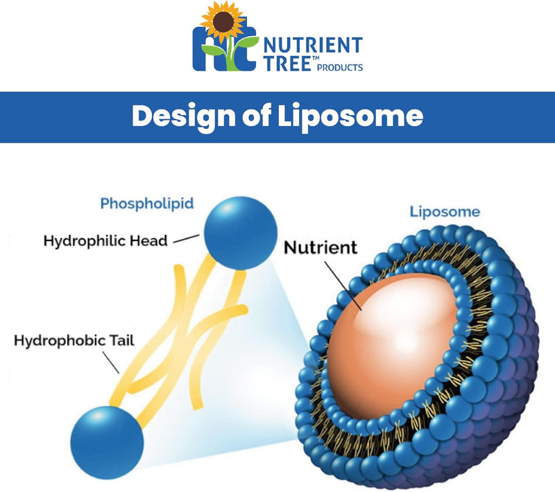 liposomal-vitamin-c-alcohol-free-non-soy-non-gmo-m-7.jpg