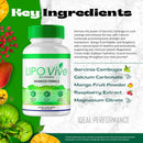 lipovive-capsules-official-lipo-vive-pro-advanced-formula-supplement-pills-support-energy-throughout-the-day-all-natural-lipoviv-capsulas-lipoviv-detox-cleanse-premium-reviews-2-pack-4