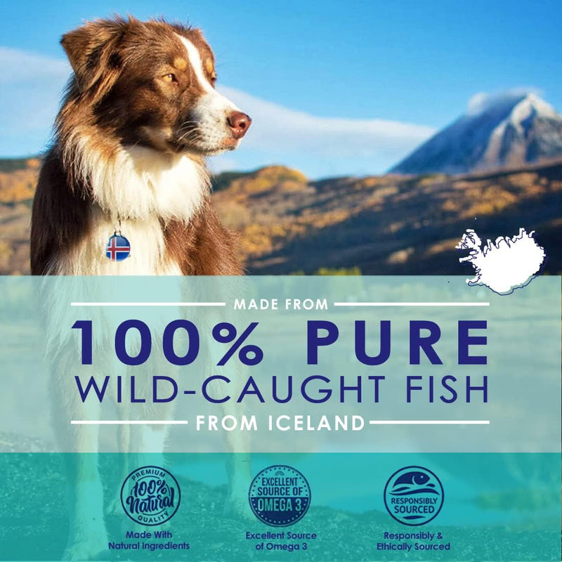 liquid-fish-oil-for-dogs-with-omega-3-6-9-fatty-acids-wild-caught-from-iceland-skin-and-coat-supplement-for-shedding-itchy-skin-allergies-brain-and-heart-health-rich-in-epa-dha---16-oz-2