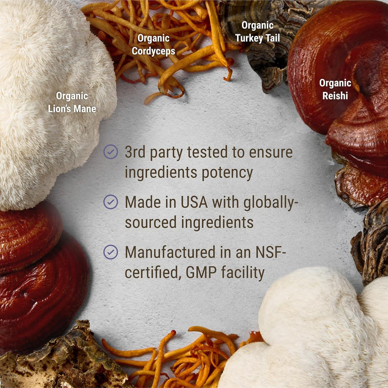 live-conscious-lions-mane-mushroom-supplement-capsules-for-brain-support-wlions-mane-cordyceps-reishi-and-turkey-tail-mushrooms---cognitive-memory-supplement-for-brain-2-pack-2