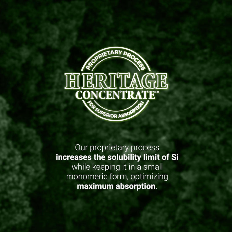 living-silica-plant-based-collagen-booster-vegan-supports-healthy-collagen-and-elastin-production-for-joint-bone-support-glowing-skin-strong-hair-nails-500-ml-169-fl-oz-8