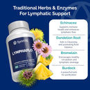 lymphaflo---lymphatic-drainage-supplement---lymph-system-support---with-bromelain-echinacea-dandelion-rutin-burdock-lemon-powder-kelp-more---vegan-gluten-free-dairy-free---60-capsules-3