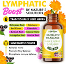 lymphatic-drainage-drops-2-fl-oz-pack-1---lymph-detox-cleanse-immune-support---lymphatic-drainage-supplements-echinacea-dandelion-burdock---support-cellulite-massager-lymphatic-drainage-tool-2