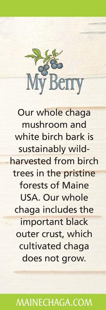 maine-chaga-mushroom-birch-bark-extract-liquid-2oz-5.jpg