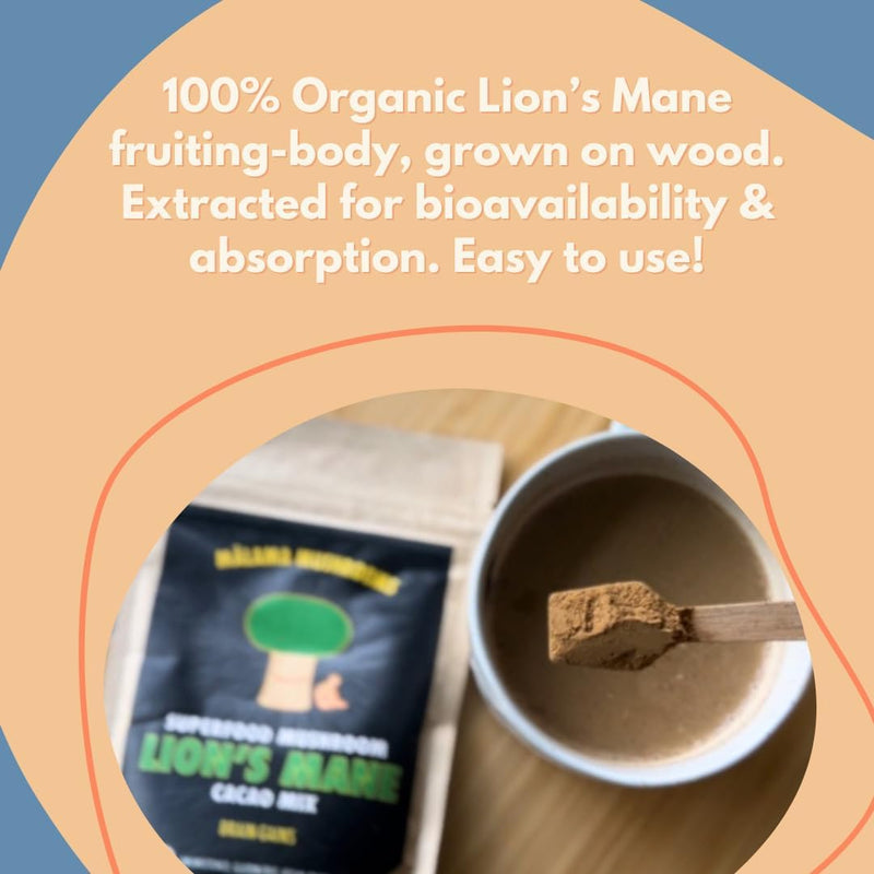 malama-organic-mushroom-hot-cacao-mix-lions-mane-m-6.jpg