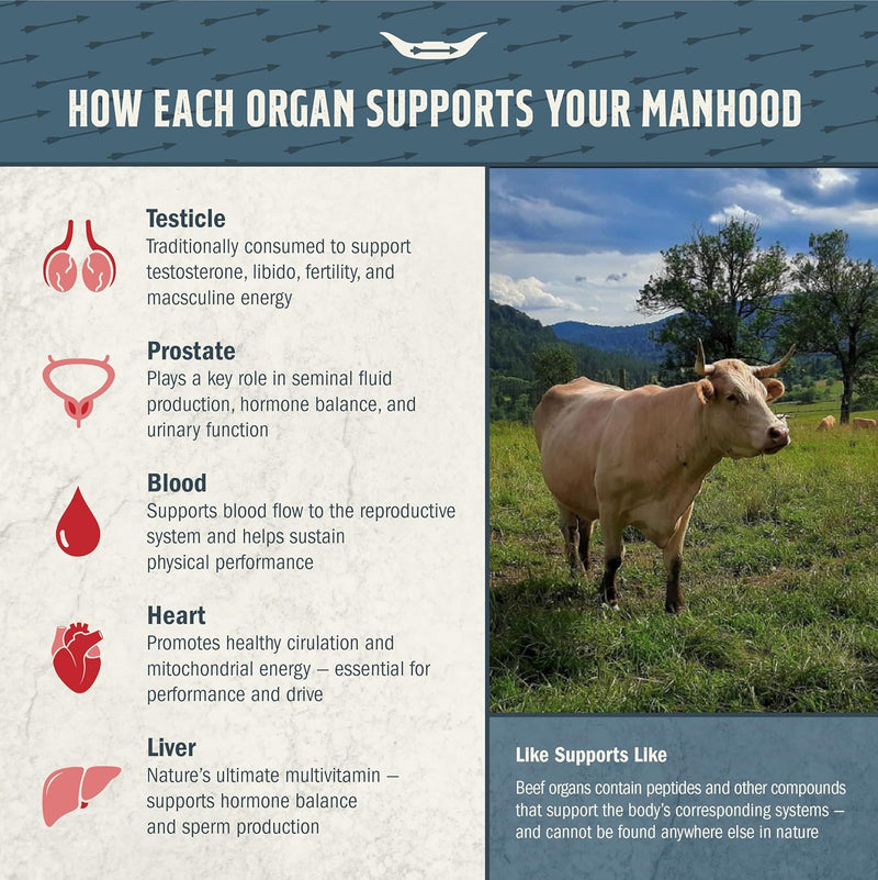 male-vitality---100-grass-fed-beef-testicle-with-p-3.jpg