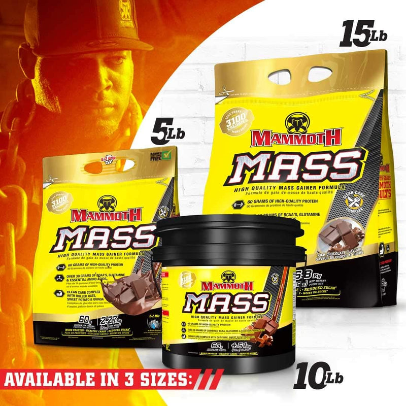 mammoth-mass-weight-gainer-high-calorie-protein-po-5.jpg