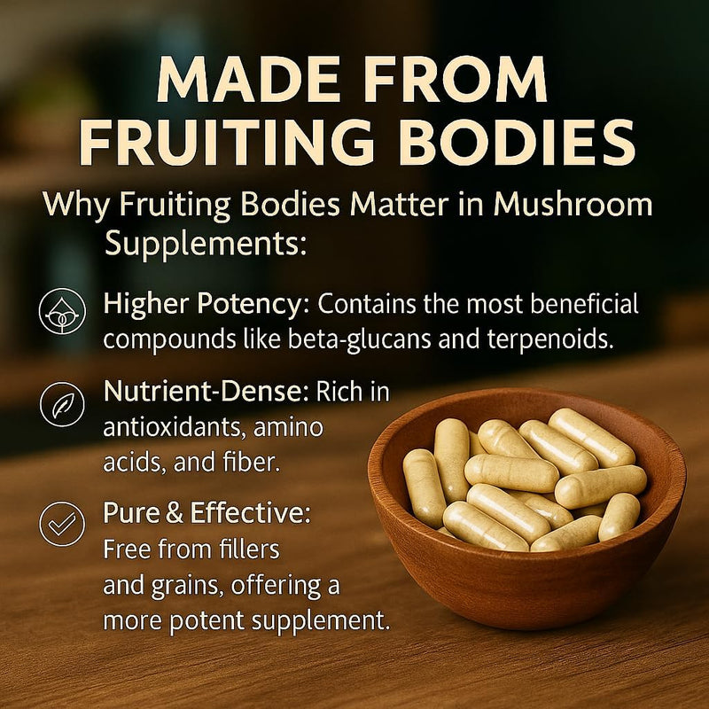 me-first-living-mushroom-complex-supplement-10-in--4.jpg