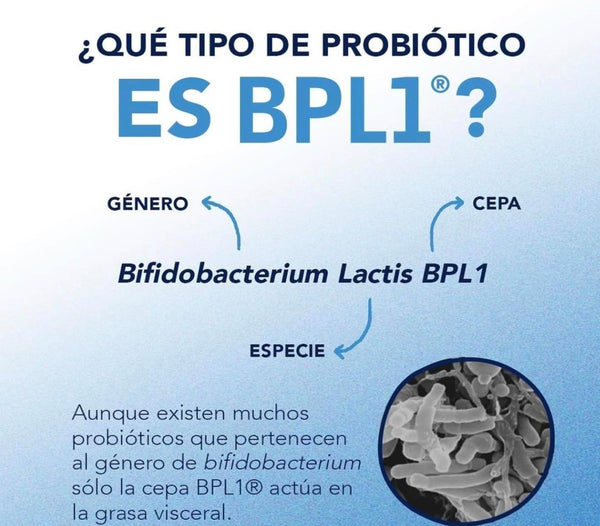 microbiot-fit-90-cpsulas-probitico-mejora-digestin-3-pack-bifidobacterium-lactis-bpl-1-1