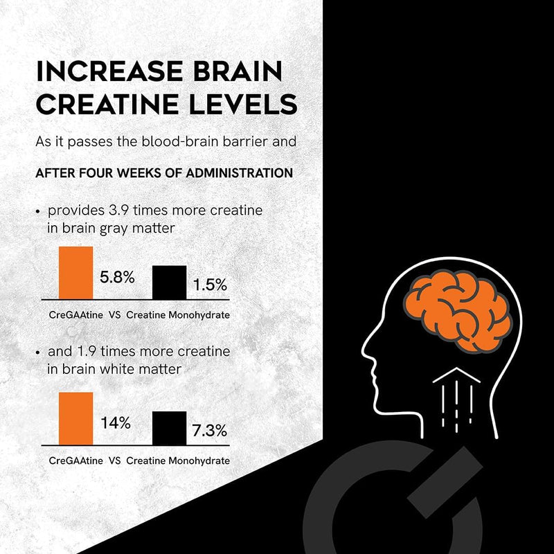 micronized-creatine-monohydrate-gaa-increase-stren-3.jpg