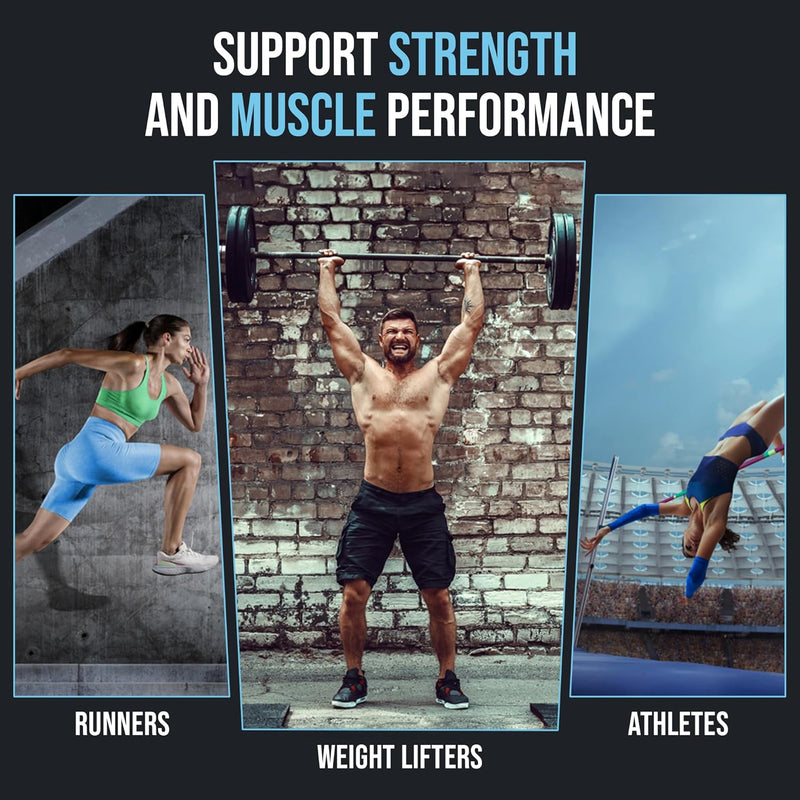 micronized-creatine-monohydrate-supports-strength--3.jpg