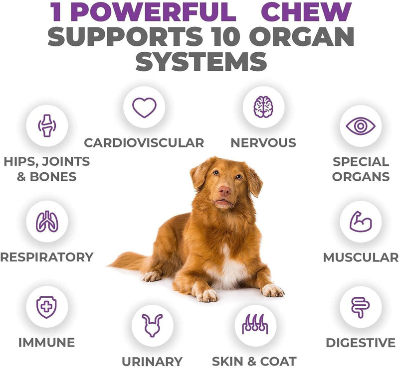 mighty-petz-max-dog-multivitamin---senior-adult-dog-vitamins-10-in-1-complete-support-for-joints-immunity-mobility-gut-energy-skin-health-pet-multivitamin-daily-chewable-supplement-4