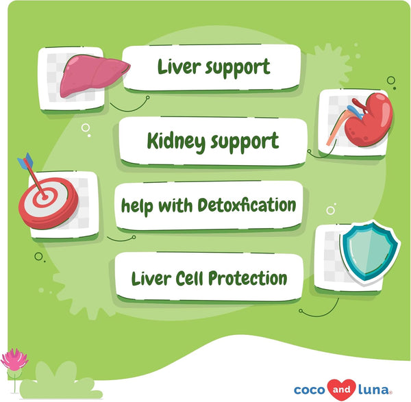 milk-thistle-for-dogs---90-soft-chews---liver-and-kidney-support---hepatic-support-with-epa-dha---detox---liver-supplement-for-dogs-with-choline-and-l-arginine-1