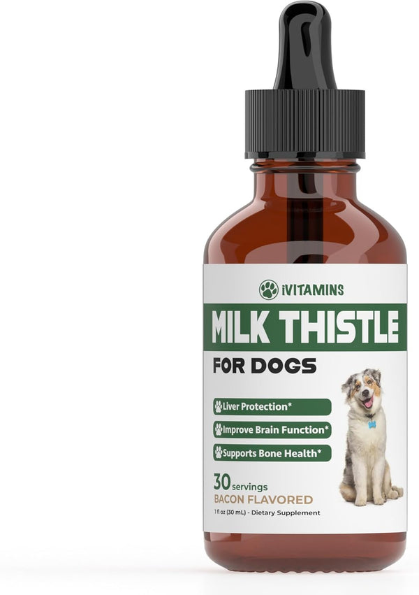 milk-thistle-for-dogs-supports-liver-and-kidney-he-1.jpg