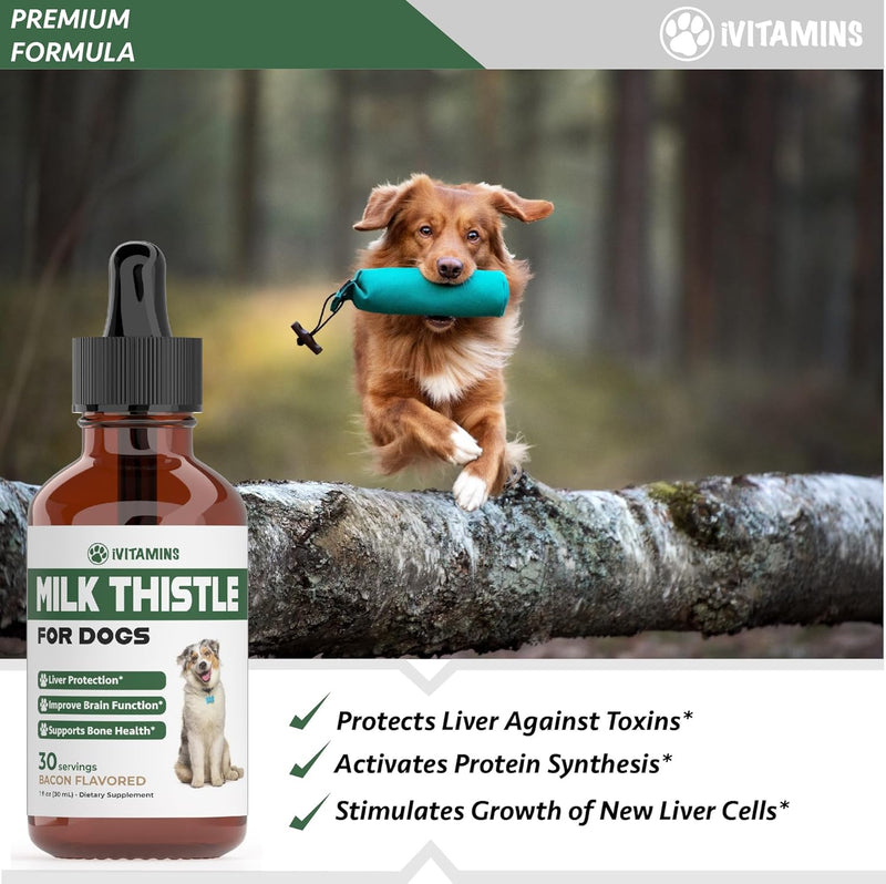 milk-thistle-for-dogs-supports-liver-and-kidney-he-3.jpg