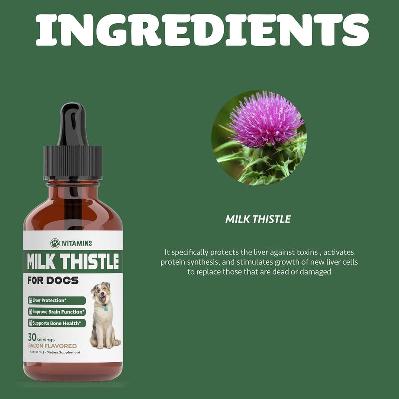 milk-thistle-for-dogs-supports-liver-and-kidney-he-7.jpg
