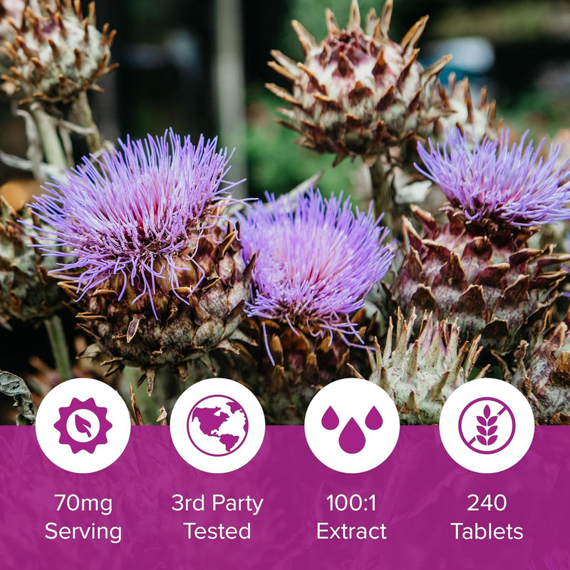 milk-thistle-supplement-240-tablets-daily-liver-su-6.jpg