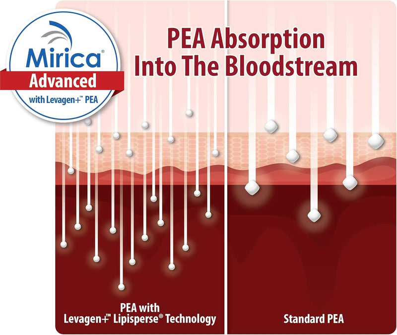 mirica-advanced---high-absorption-formula-palmitoylethanolamide-pea-luteolin-and-polydatin-nervous-system-support-capsule-60ct-4