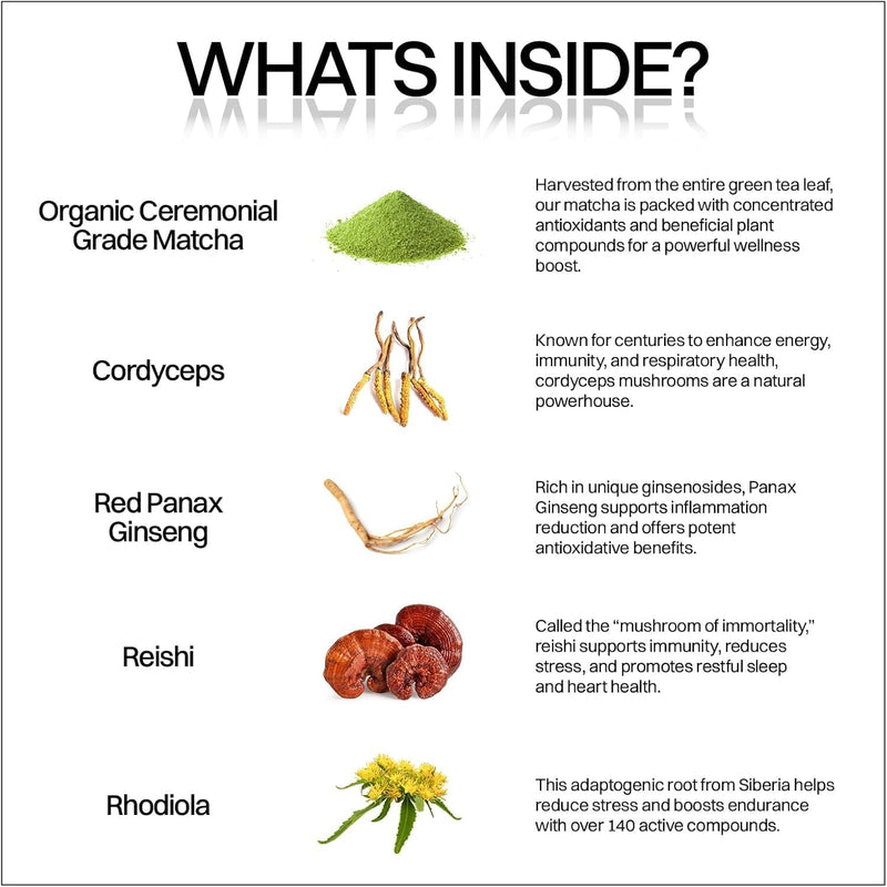 motiv--organic-matcha-mushrooms-energy-gummies-300-8.jpg
