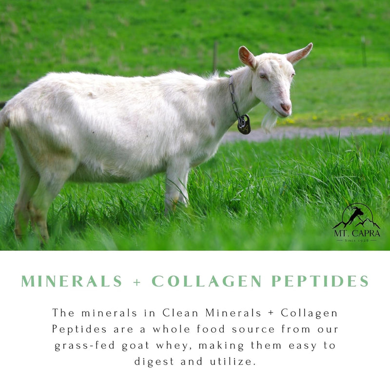 mt-capra-clean-minerals-with-collagen-peptides-who-5.jpg