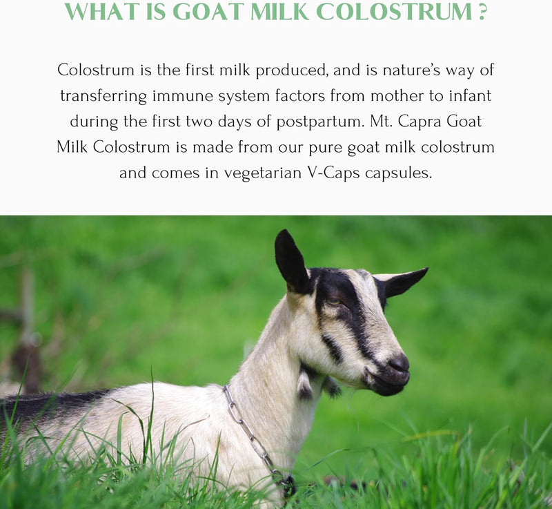 mt-capra-goat-milk-colostrum-for-healthy-immune-system-gut-and-athletic-performance-grass-fed-high-in-immunoglobulins-30-servings---120-capsules-1