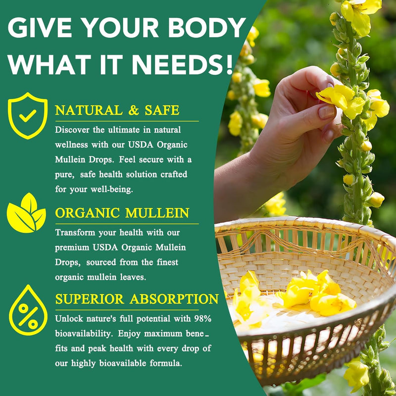 mullein-drops-for-lungs-mullein-leaf-tincture-drop-6.jpg