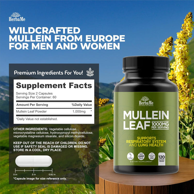mullein-leaf-1000mg-120-capsules-lung-detox-for-sm-3.jpg