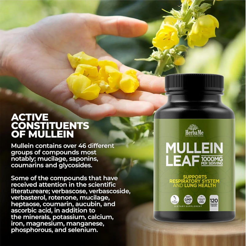 mullein-leaf-1000mg-120-capsules-lung-detox-for-sm-6.jpg