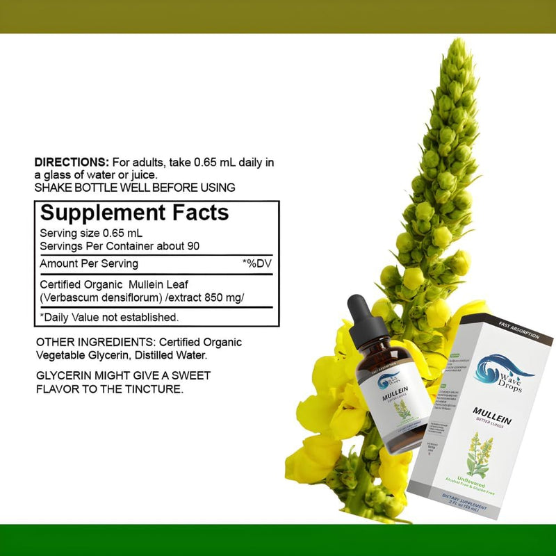 mullein-leaf-tincture---lung-cleanse---mullein-lea-2.jpg