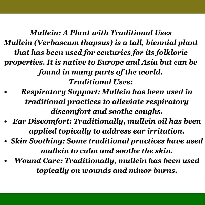 mullein-leaf-tincture---lung-cleanse---mullein-lea-5.jpg