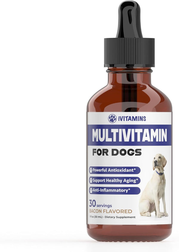 multivitamin-for-dogs-dog-multivitamin-for-joint-support-gut-immune-health-skin-heart-health-dog-vitamins-and-supplements-dog-vitamins-multivitamin-dog-supplements-vitamins-1-fl-oz-1