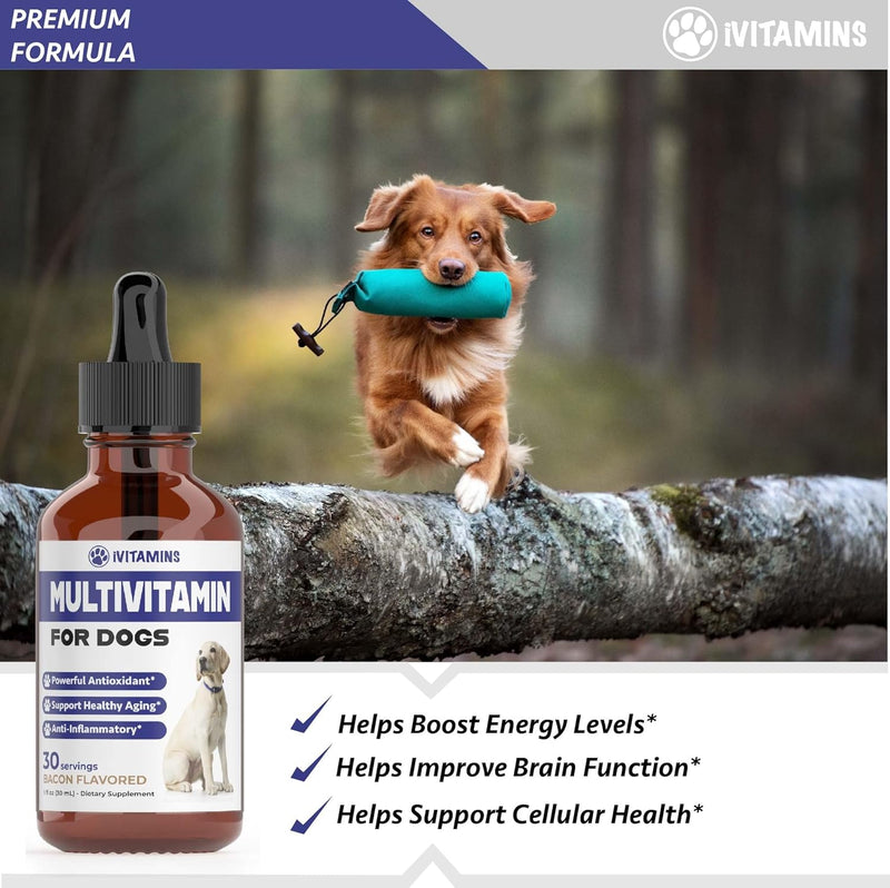 multivitamin-for-dogs-dog-multivitamin-for-joint-support-gut-immune-health-skin-heart-health-dog-vitamins-and-supplements-dog-vitamins-multivitamin-dog-supplements-vitamins-1-fl-oz-3