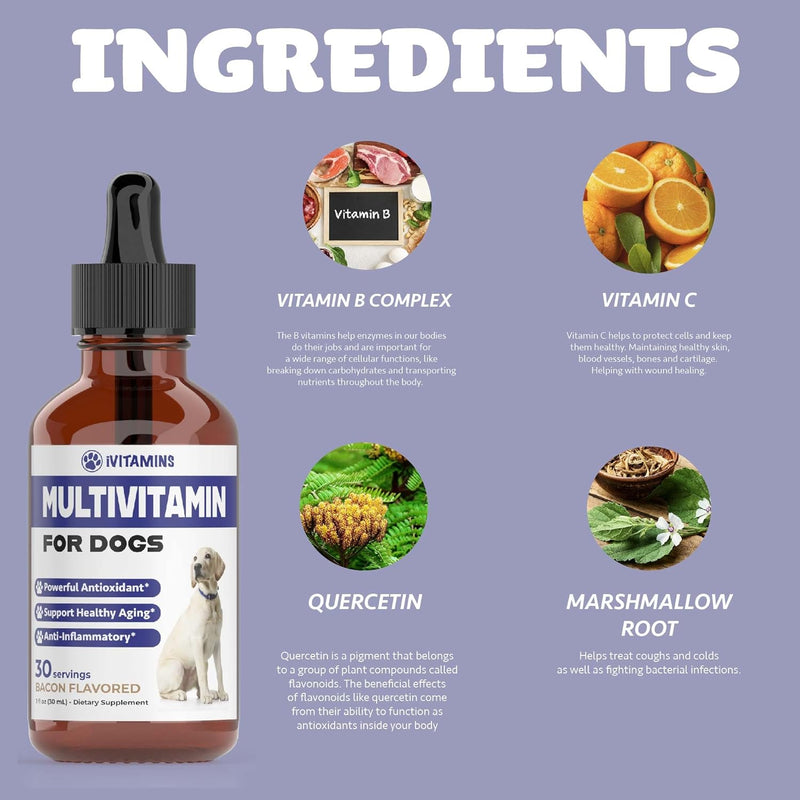 multivitamin-for-dogs-dog-multivitamin-for-joint-support-gut-immune-health-skin-heart-health-dog-vitamins-and-supplements-dog-vitamins-multivitamin-dog-supplements-vitamins-1-fl-oz-7