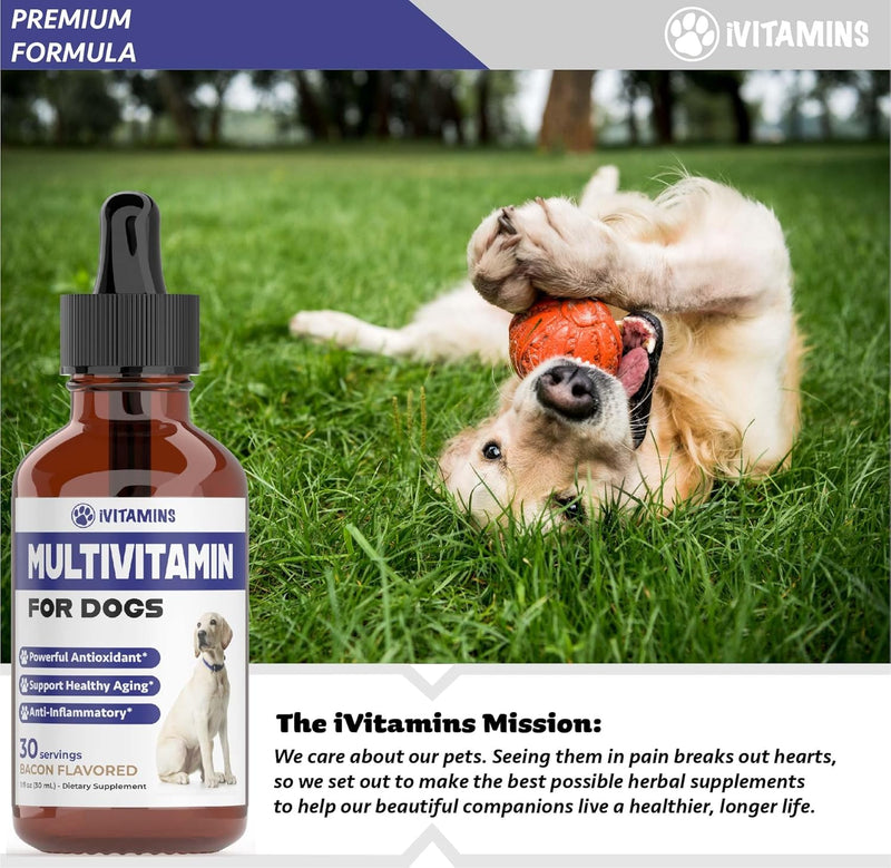 multivitamin-for-dogs-dog-multivitamin-for-joint-support-gut-immune-health-skin-heart-health-dog-vitamins-and-supplements-dog-vitamins-multivitamin-dog-supplements-vitamins-1-fl-oz-8