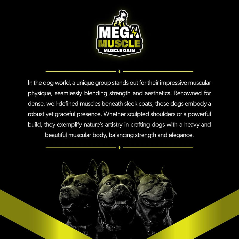 muscle-gain-daily-booster-chewable-tablets-multivitamin-for-dogs-in-all-life-stages-high-protein-weight-gain-puppy-adult-dog-supplement-chicken-flavor-60-tablets-8