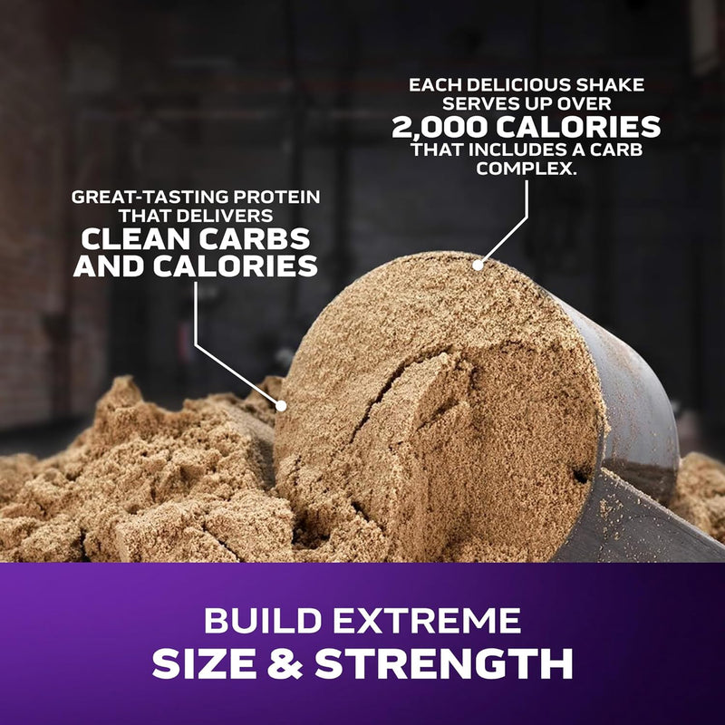muscletech-high-protein-mass-gainer-triple-chocola-3.jpg