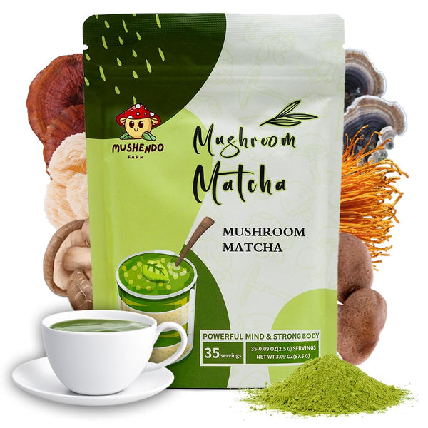mushendo-6-mushroom-matcha-lions-mane-cordyceps-tu-1.jpg