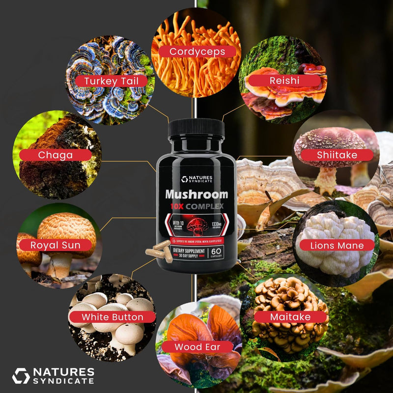 mushroom-complex-supplement---natural-brain-nootro-5.jpg