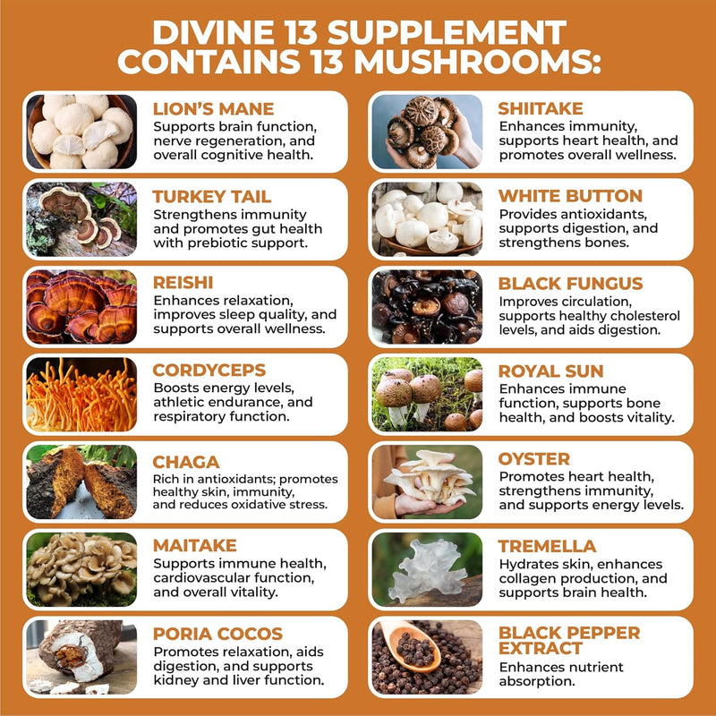 mushroom-extract-complex-with-black-pepper-lions-m-5.jpg