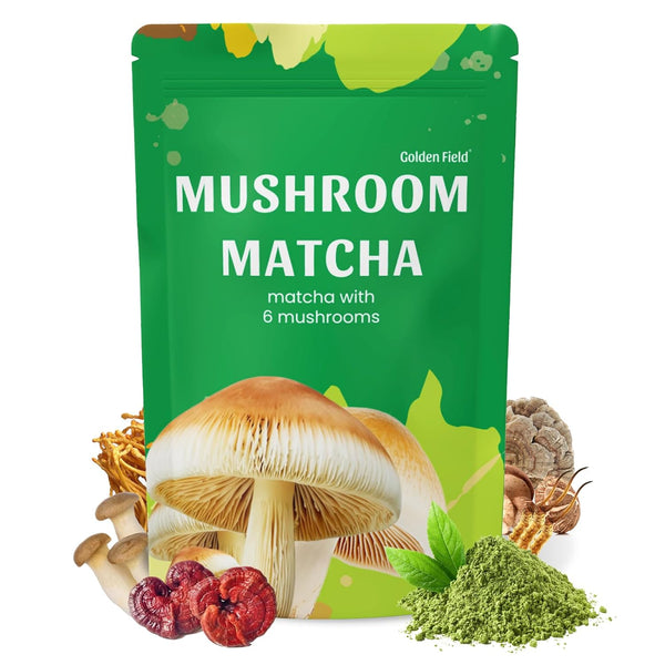 mushroom-matcha-powder-blend-with-6-mushrooms-mct--1.jpg