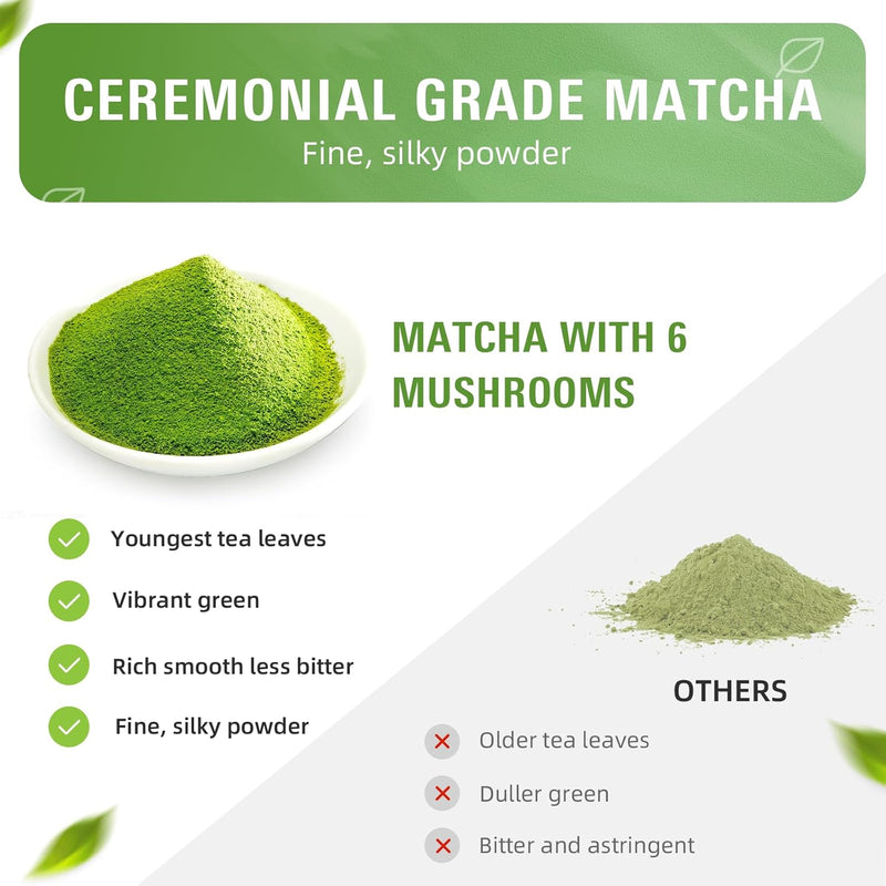 mushroom-matcha-powder-blend-with-6-mushrooms-mct--6.jpg