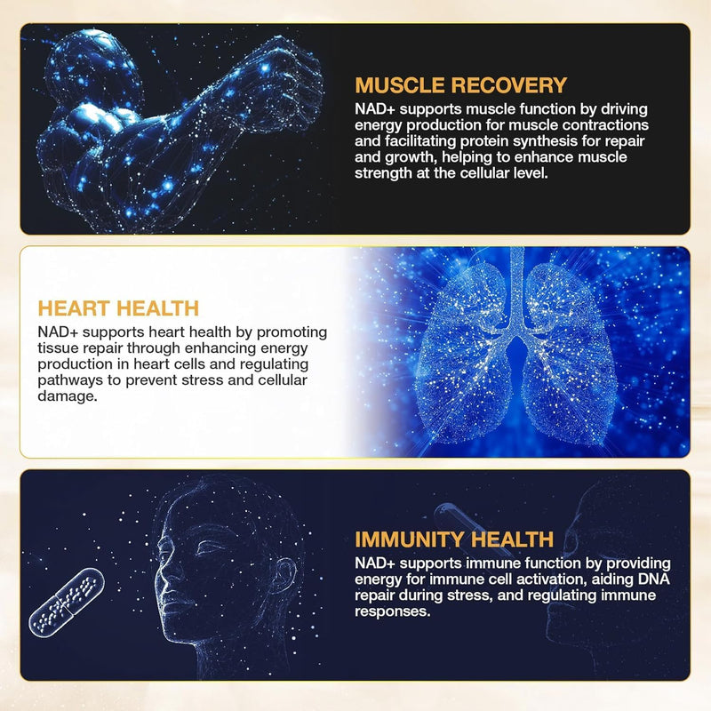nad-supplement---nad-nicotinamide-riboside-resvera-5.jpg