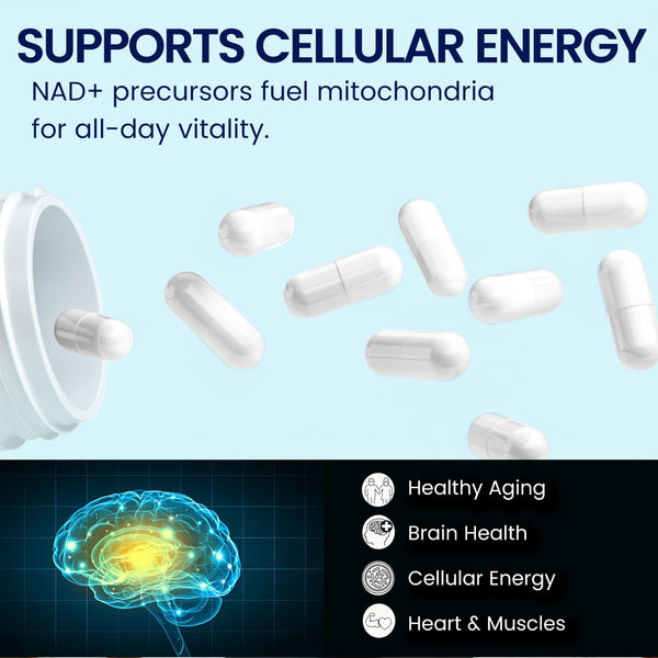 nad-supplement-for-anti-aging-and-cell-nicotinamide-riboside-mononucleotide---cellular-energy-mitochondrial-healthy-aging-cognitive-function-support---liposomal-nad-supplements---80-capsules-1