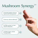 natura-health-products-mushroom-synergy-supplement-2.jpg