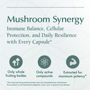 natura-health-products-mushroom-synergy-supplement-6.jpg
