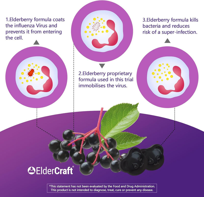 natural-black-elderberry-gummies-elderberry-fruit--5.jpg