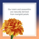 natural-factors-lutein-20-mg-antioxidant-support-for-healthy-eyes-and-skin-with-zeaxanthin-120-softgels-3