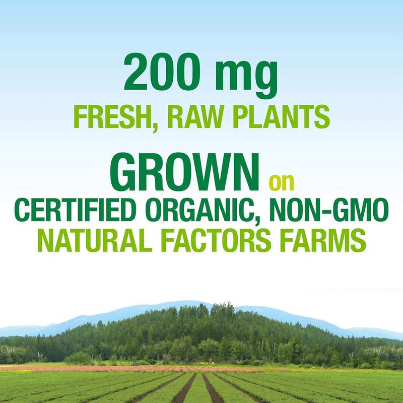 natural-factors-whole-earth-sea-womens-prenatal-multivitamin-and-mineral-whole-food-supplement-vegan-60-tablets-5